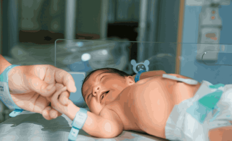 Circuncisiones neonatales